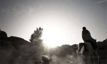 电话轰炸机网页版